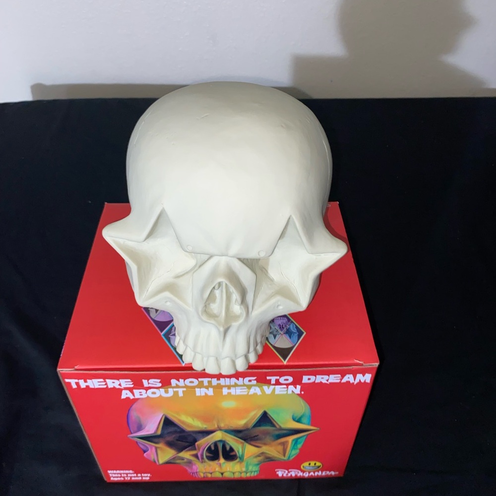 Skull home decor